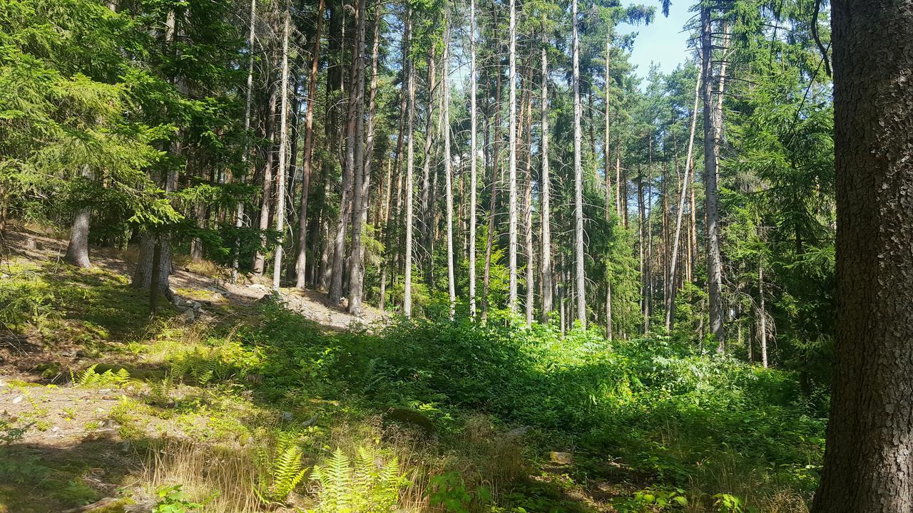 Malebna Chalupa U Javorniku Na Sumave Vacov Bagian luar foto